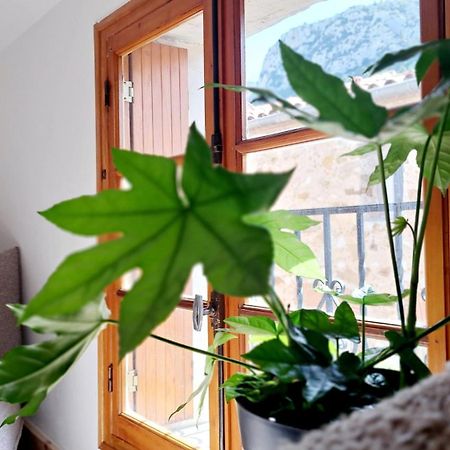 Casa Tramuntana Hotel Tautavel Eksteriør billede