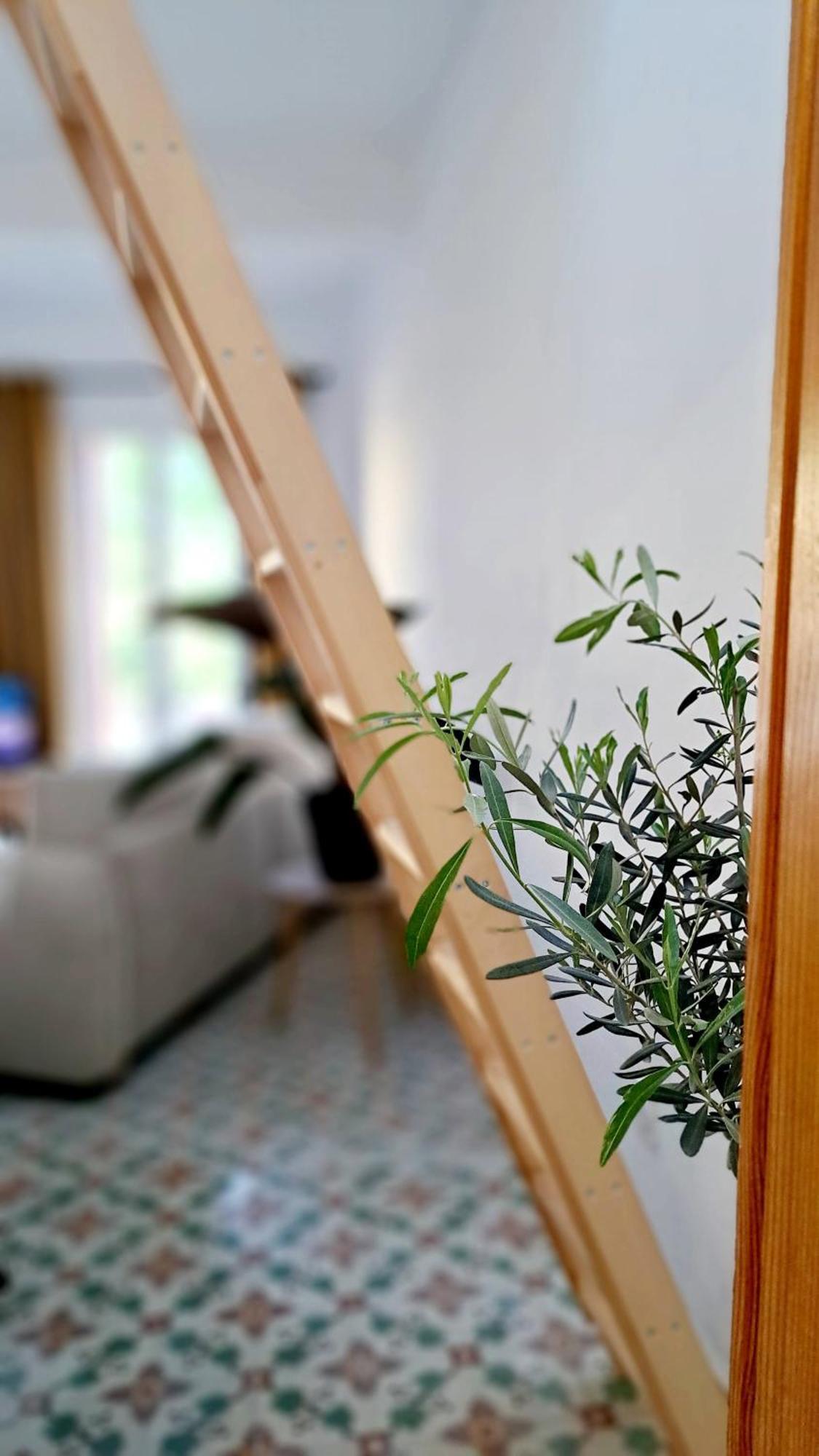 Casa Tramuntana Hotel Tautavel Eksteriør billede